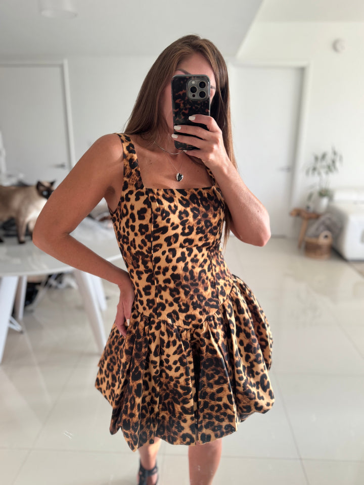 Leona Chic Ballon Dress
